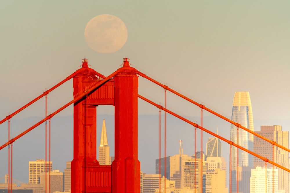 Photograph by Karthik Subramaniam