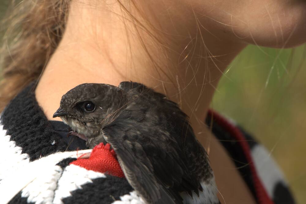 Photograph by Ирина Вассерлауф