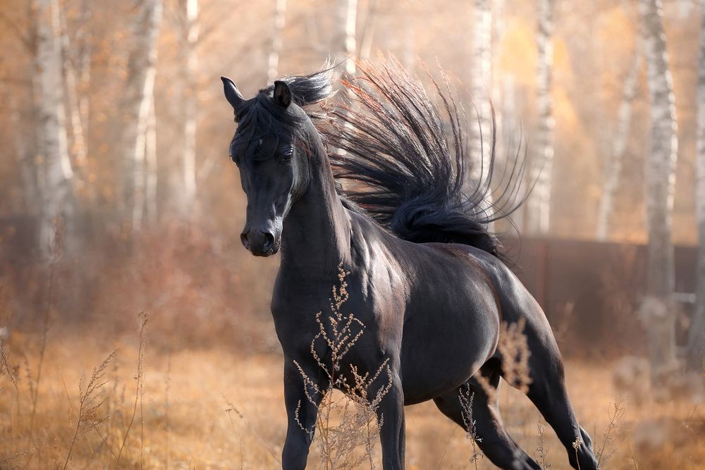 Photograph by Ольга Смирнова