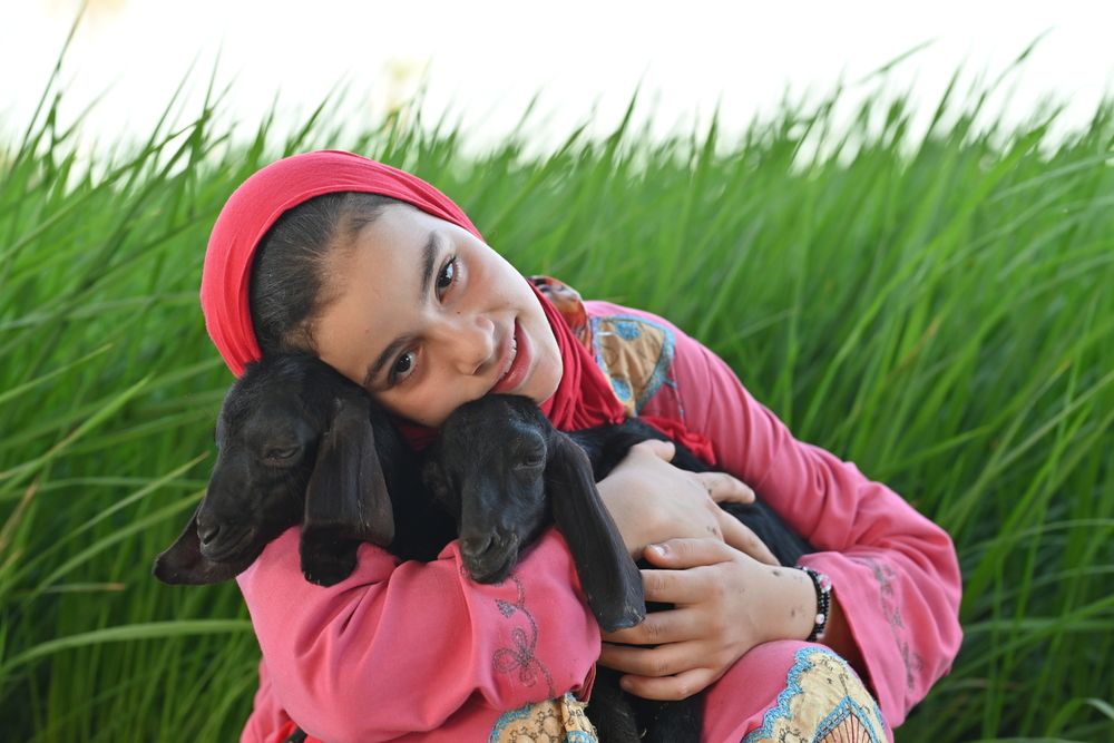 Photograph by loai zedan