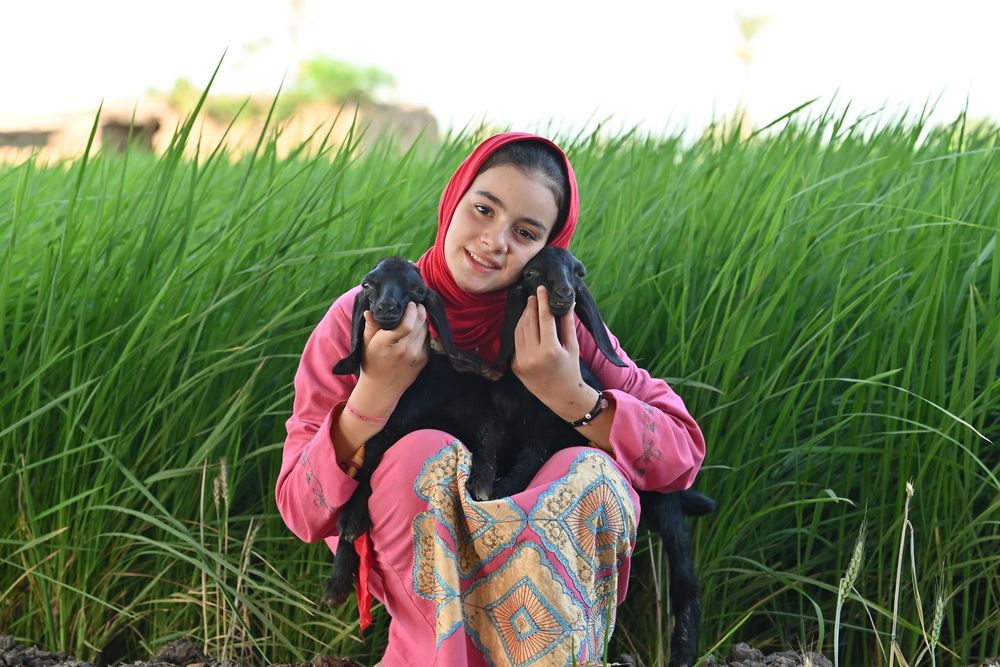 Photograph by loai zedan