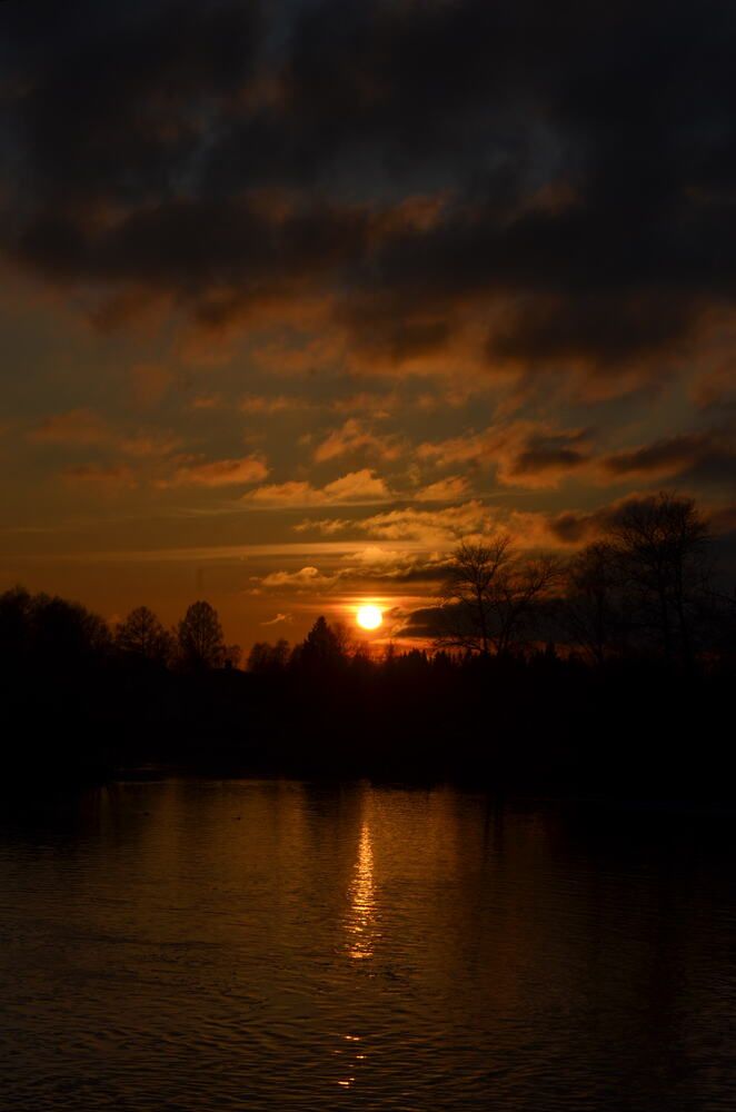 Photograph by лиза комарова