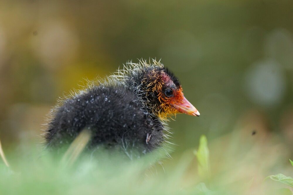 Photograph by Оксана Архипова