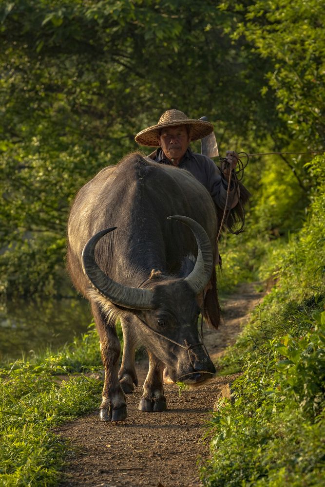 Photograph by Екатерина Лурина