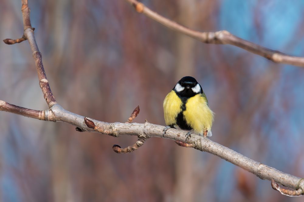Photograph by наталья залогина