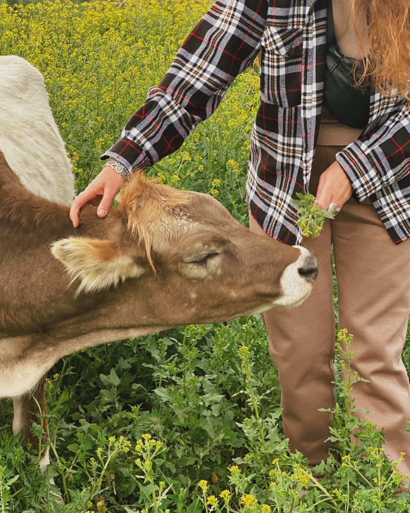 Фотография автора Albina Kremez
