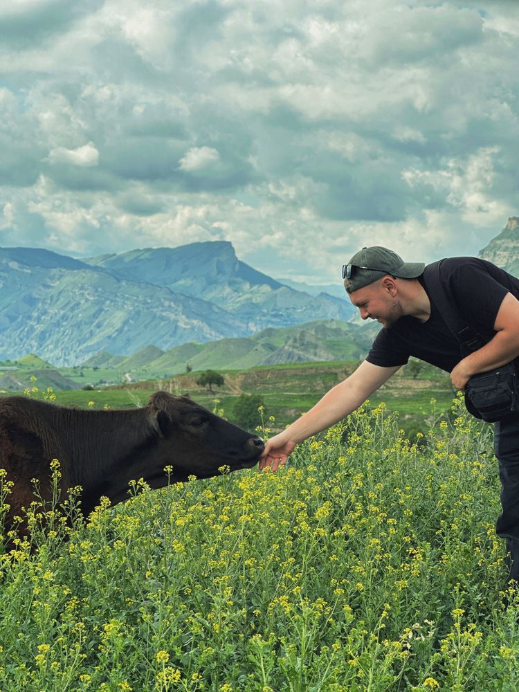 Фотография автора Albina Kremez
