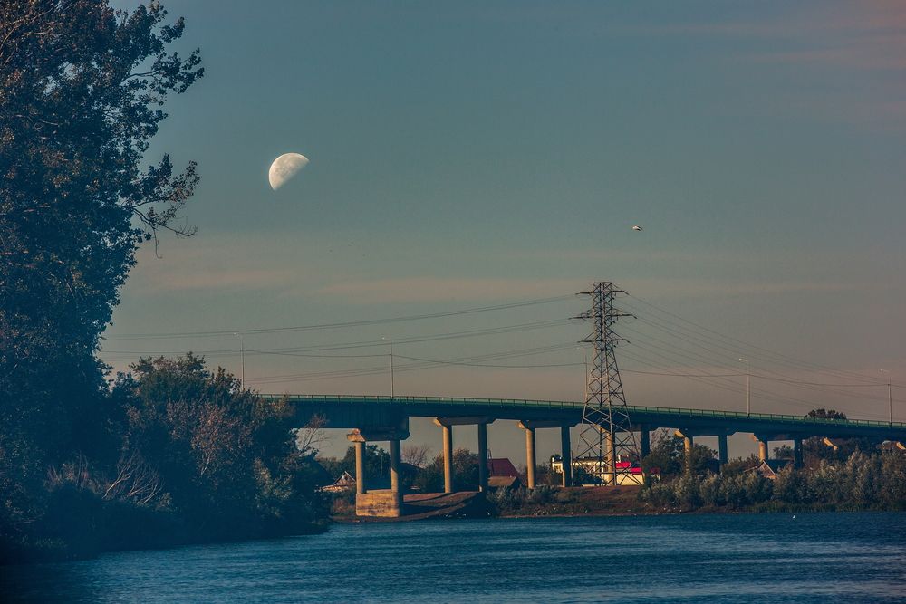 Фотография автора Марина Ватанская