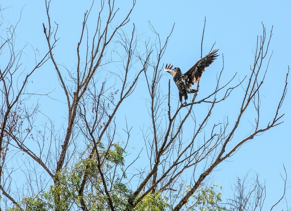 Фотография автора Марина Ватанская