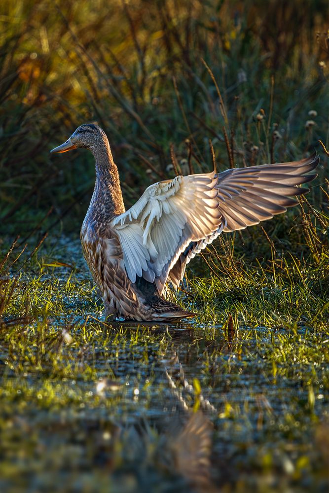 Photograph by Надежда Хрусталёва