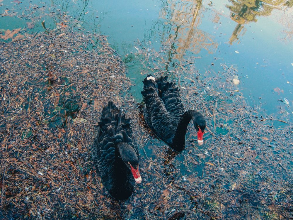 Photograph by Елена Буканина