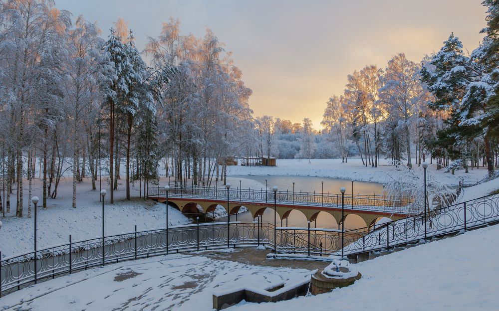 Photograph by Светлана Ващенко