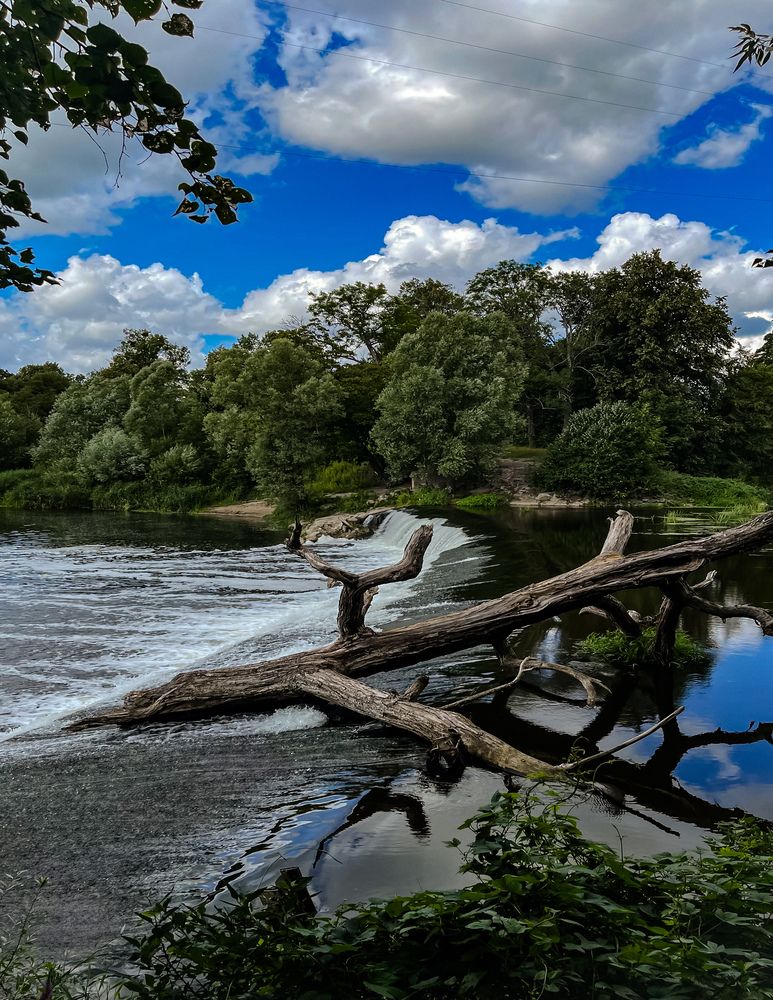 Photograph by Elena Menshikova