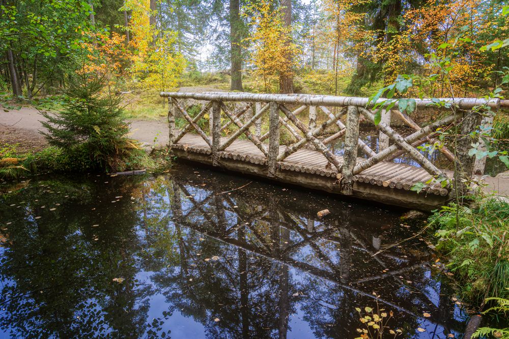 Photograph by Светлана Ващенко