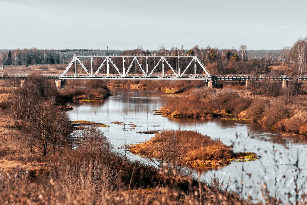 Фотография автора Елена Ефимова