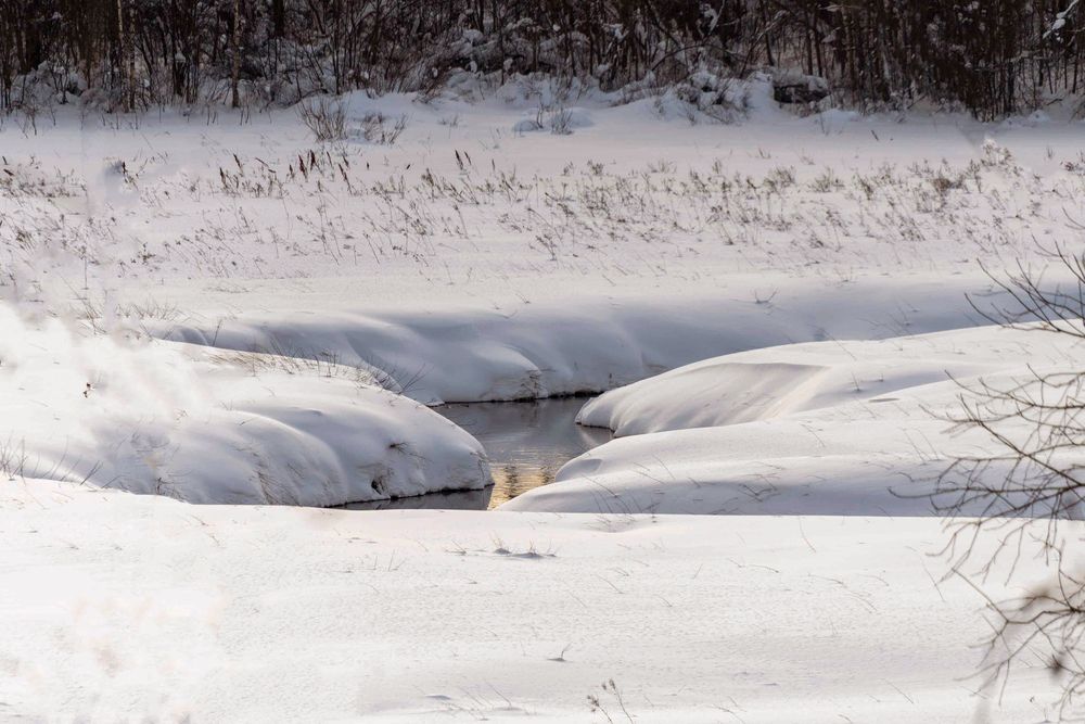 Фотография автора Елена Ефимова
