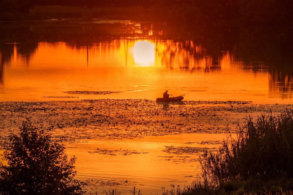 Фотография автора Елена Ефимова