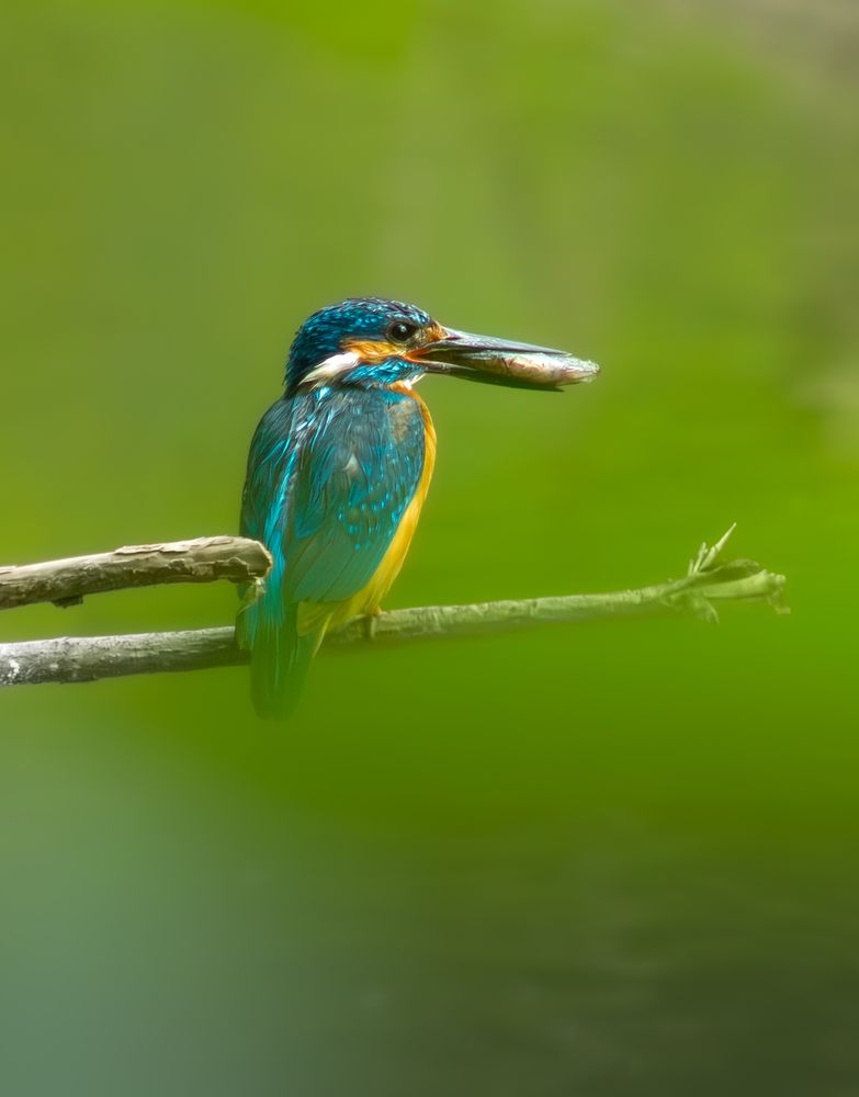 Photograph by Веретельников Дмитрий
