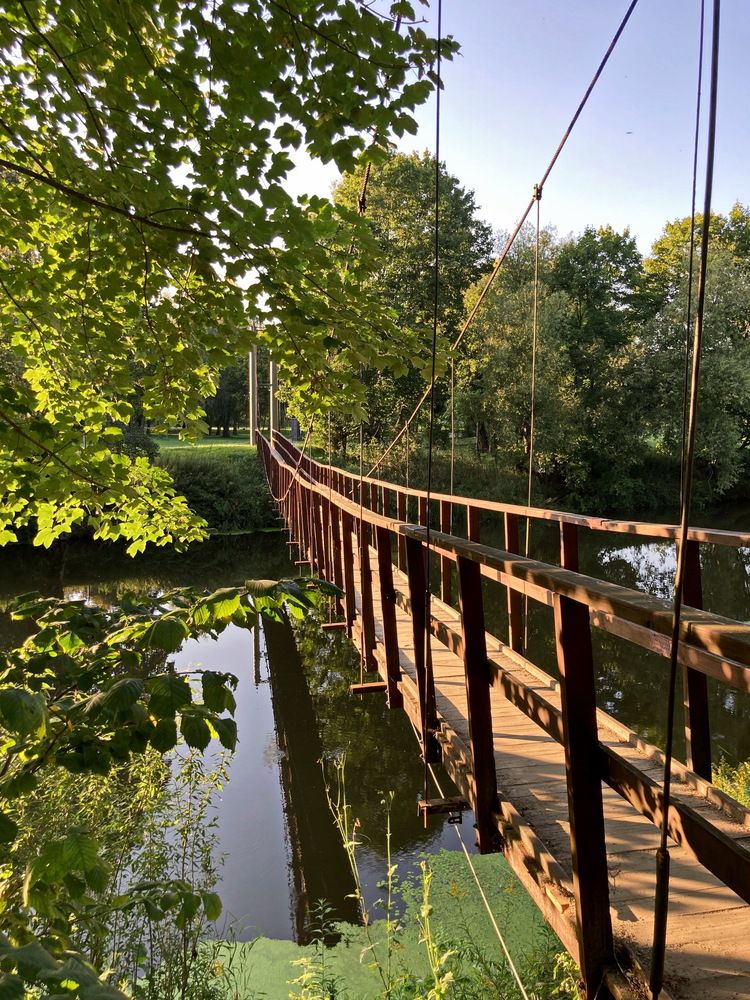 В парке Черняховска