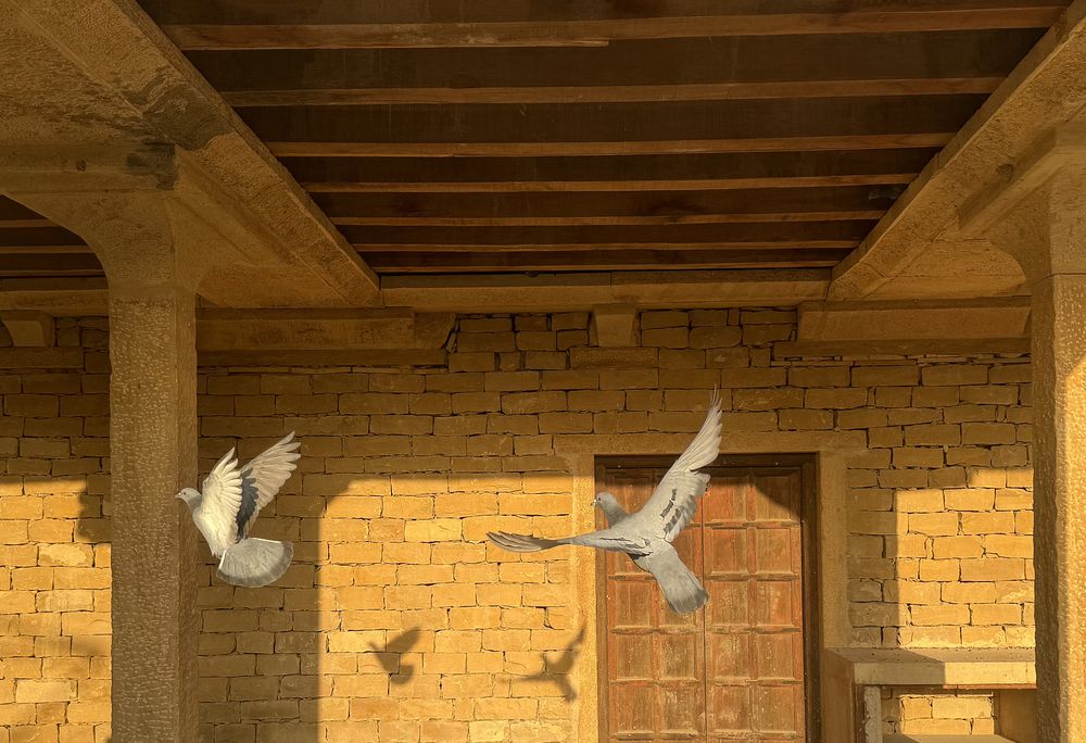 Photograph by Kaushik Dolui