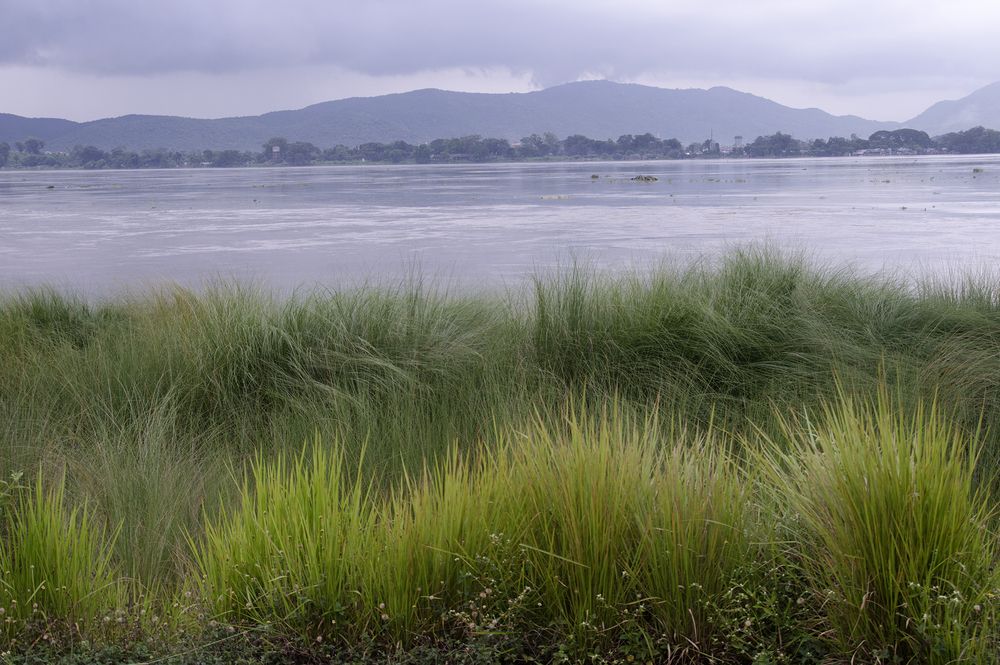 Фотография автора Kaushik Dolui