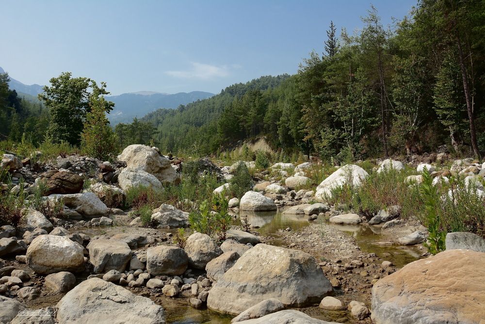 Photograph by Сергей Пидронов