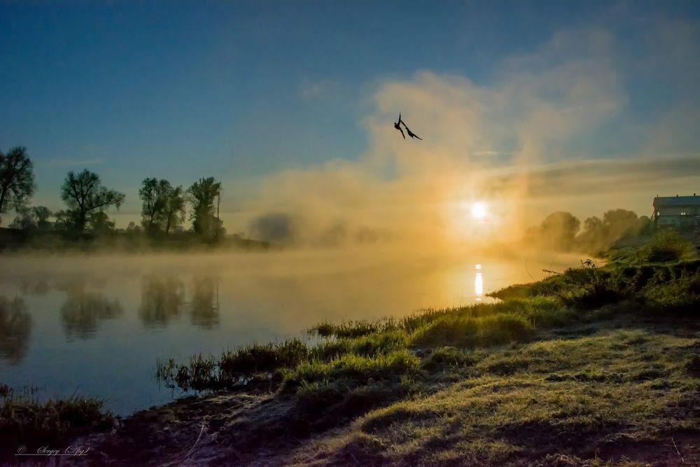 Photograph by Сергей Пидронов