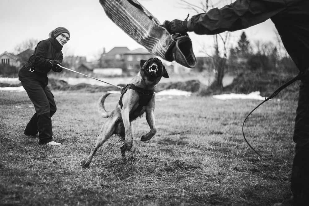 Photograph by Яна Понимаш