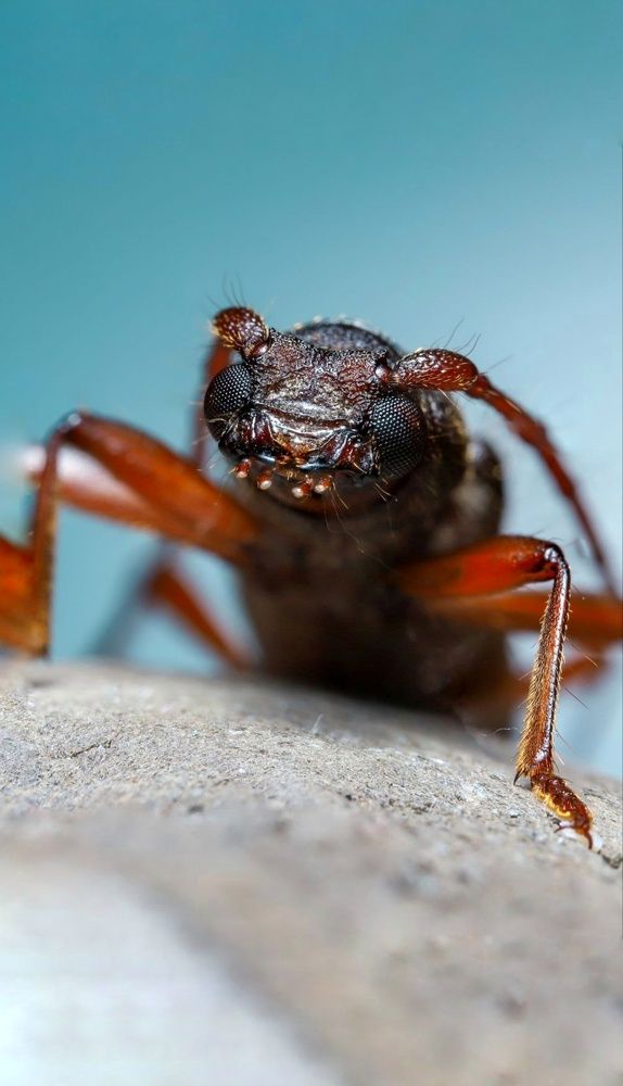 Photograph by Ali Deyabadi