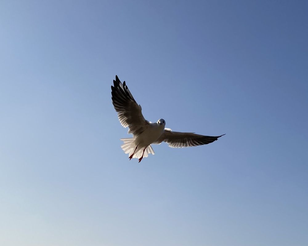 Photograph by Марина Колядина