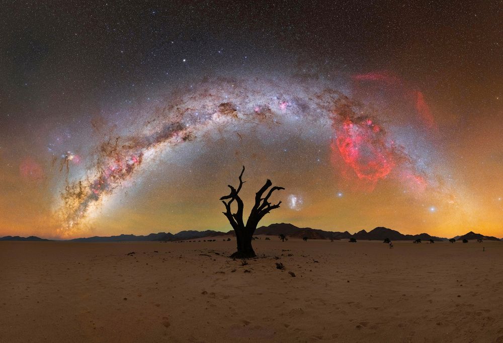 Trees of Kanaan Retreat Under the Starry Sky, May 2024, Namibia