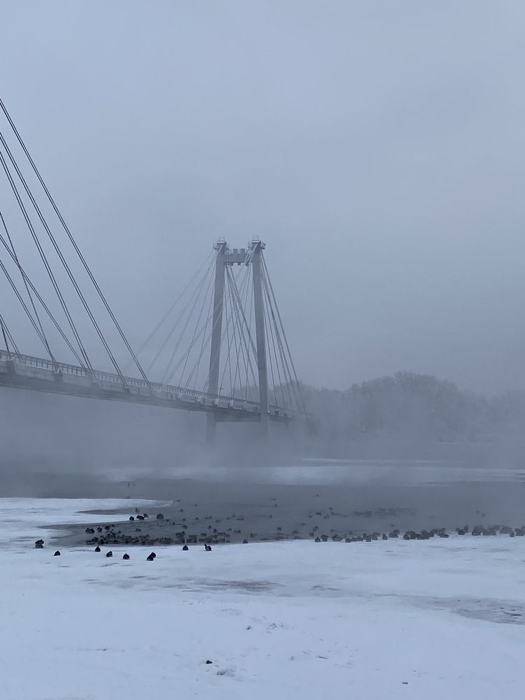 Photograph by Светлана Дмитриева