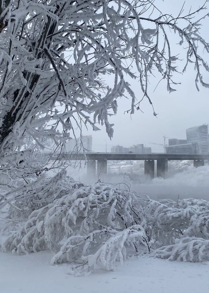 Photograph by Светлана Дмитриева