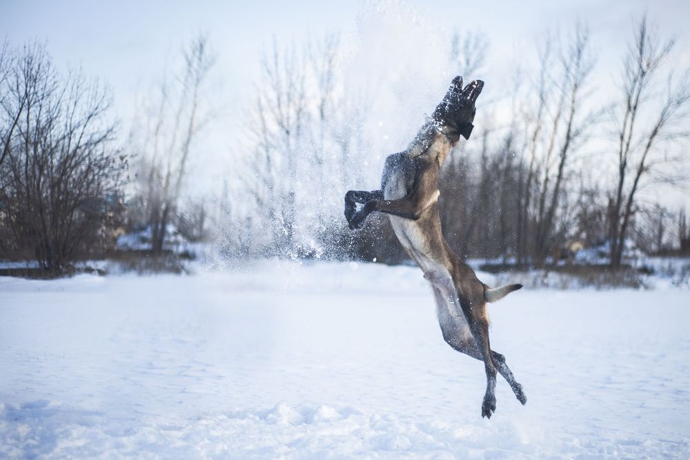 Photograph by Яна Понимаш