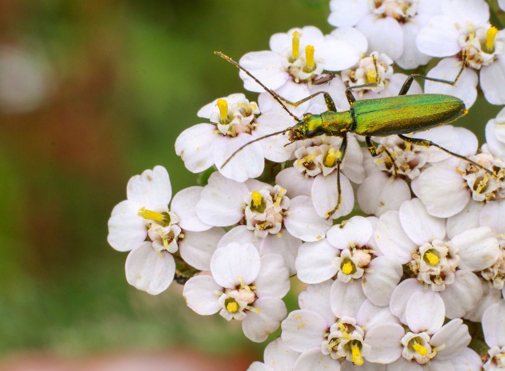 Photograph by Елена Карпухно