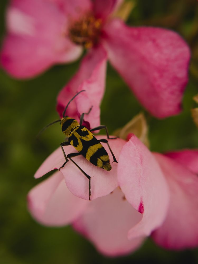 Photograph by Екатерина Щербинина