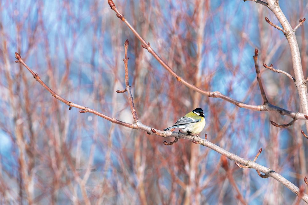 Photograph by наталья залогина
