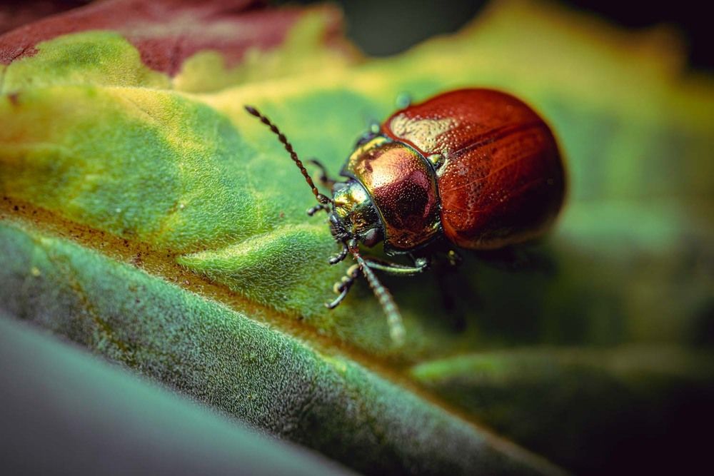 Фотография автора Сергей Назаредский