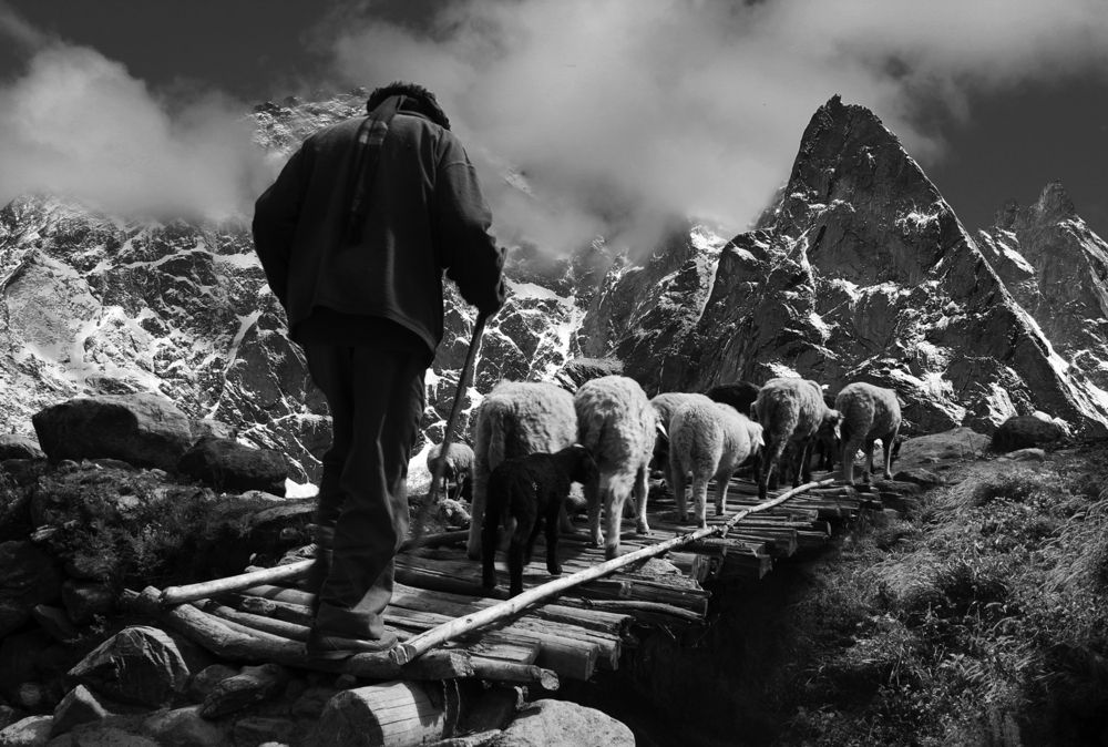 Photograph by Kaushik Dolui