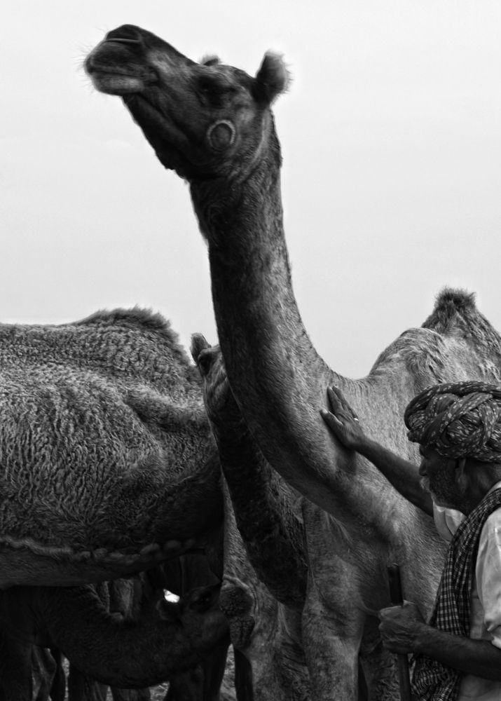 Photograph by Kaushik Dolui