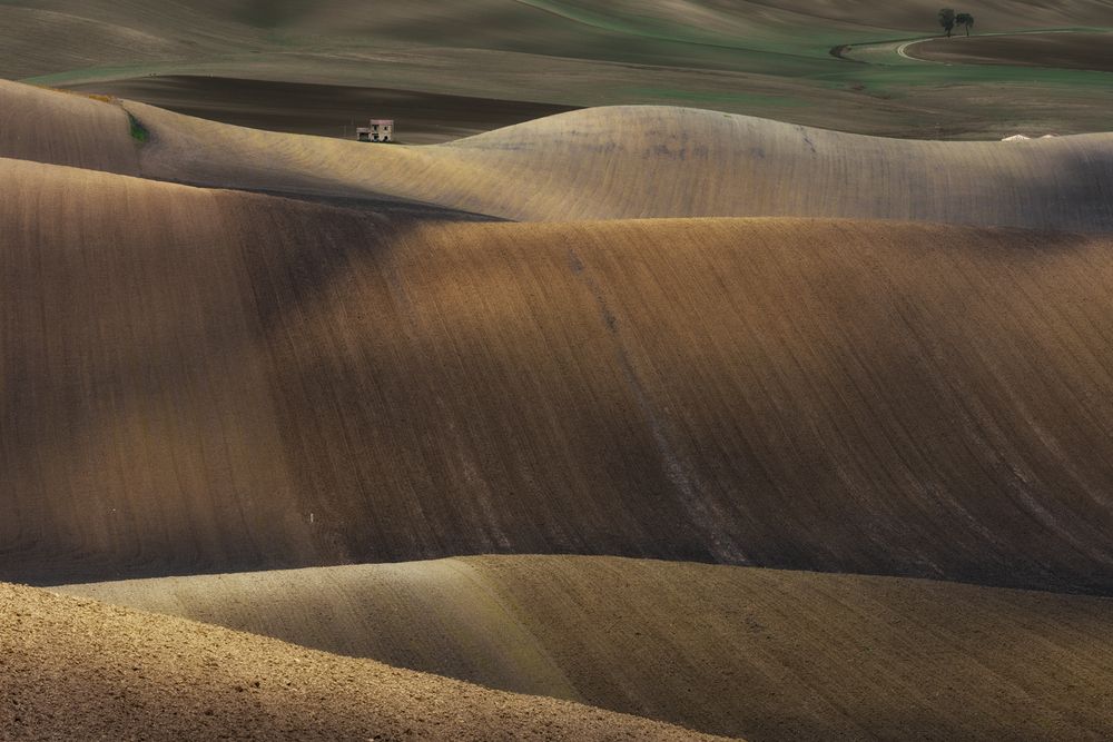 Earth Waves