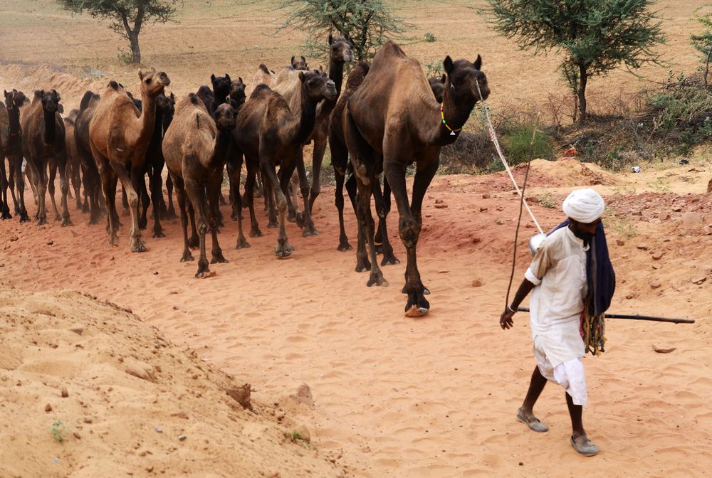 Photograph by Kaushik Dolui