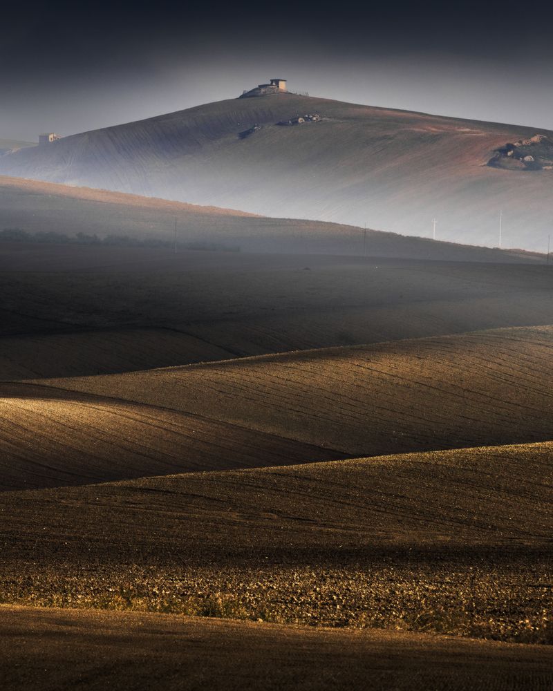Lines of Silence