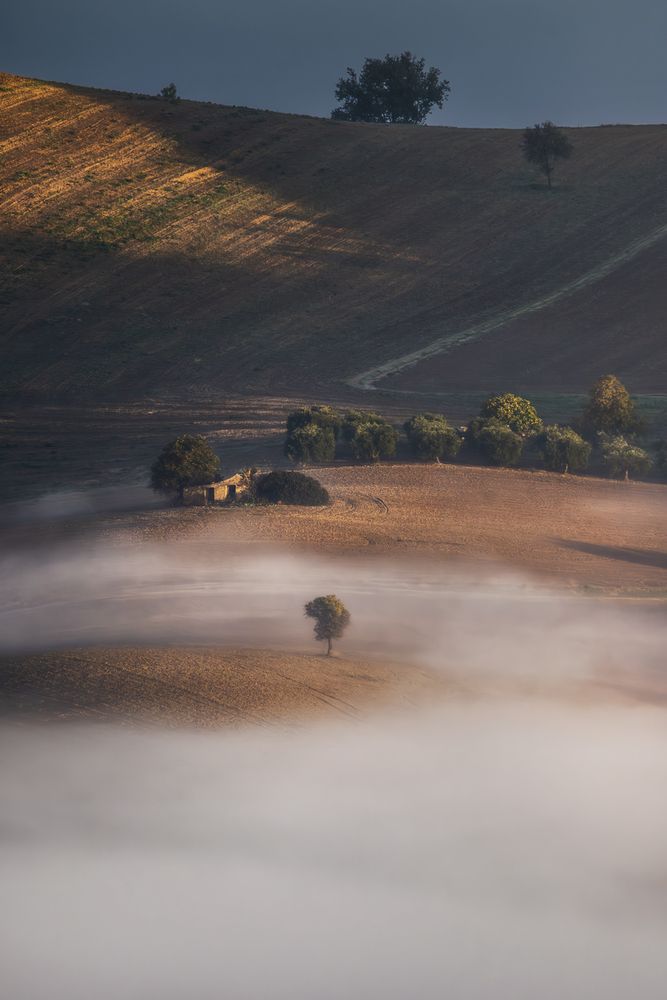 Suspended Land