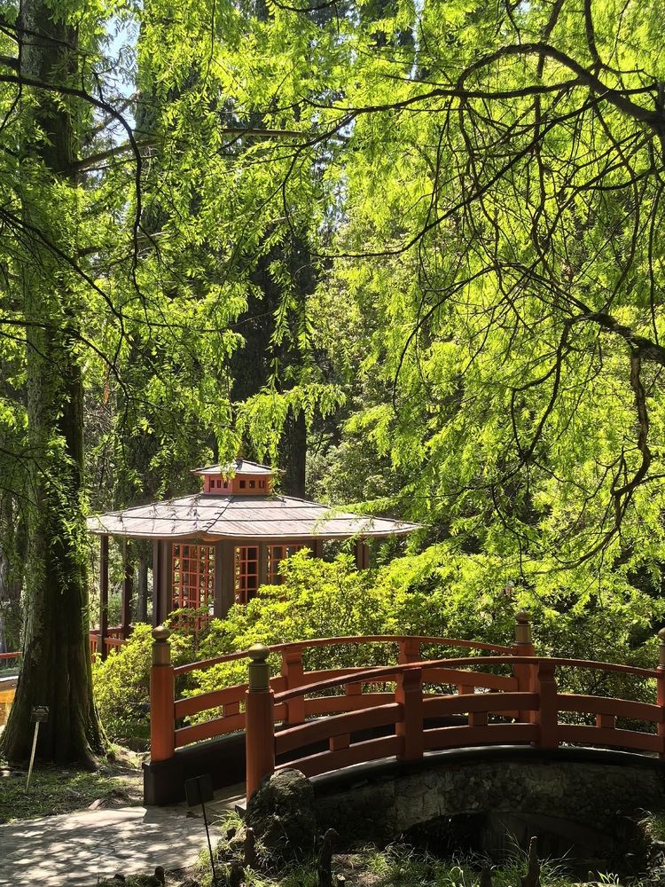 Photograph by Татьяна Винокурова