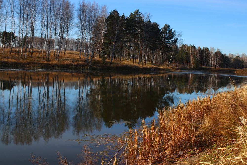 Photograph by Галина Мазур