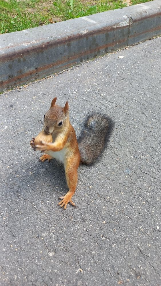 Фотография автора Ганина Галина