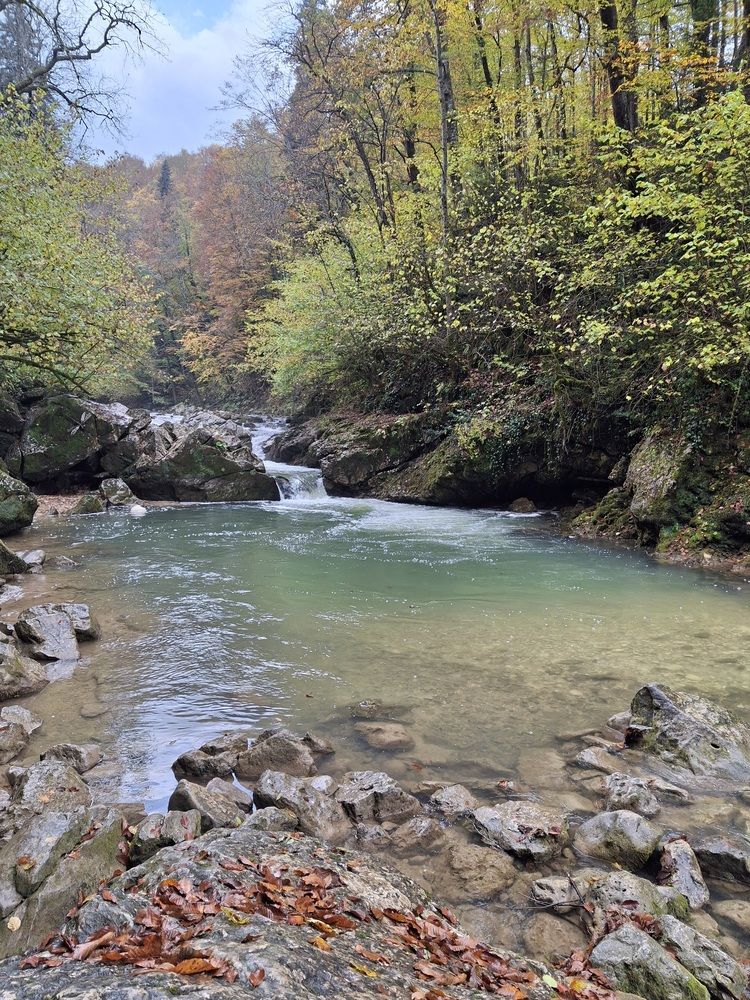 Фотография автора Наталья Гаврилова
