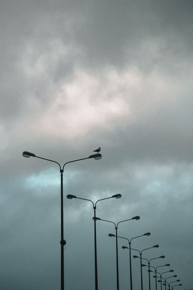Photograph by Алиса Исаева