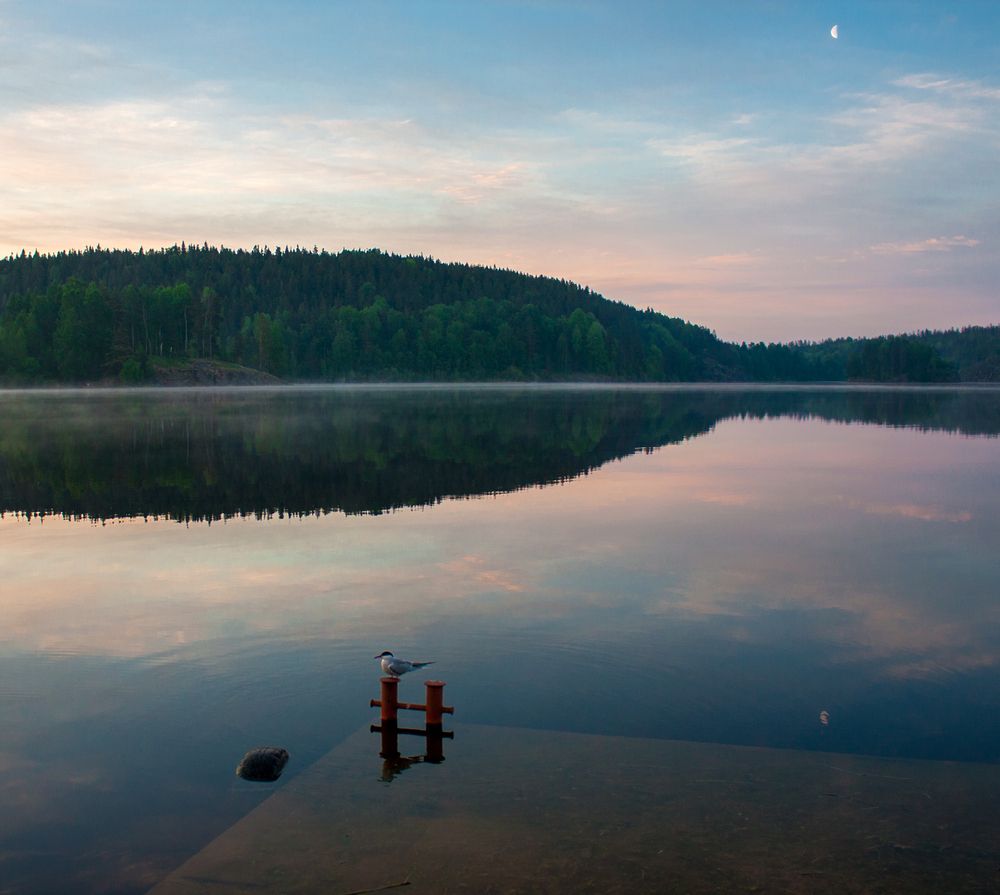 Photograph by Татьяна